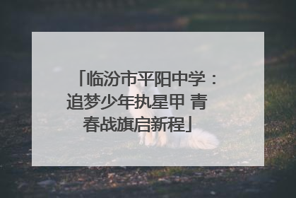 临汾市平阳中学：追梦少年执星甲 青春战旗启新程