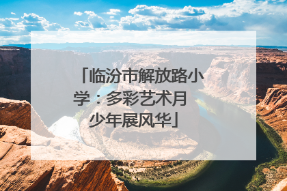 临汾市解放路小学：多彩艺术月 少年展风华