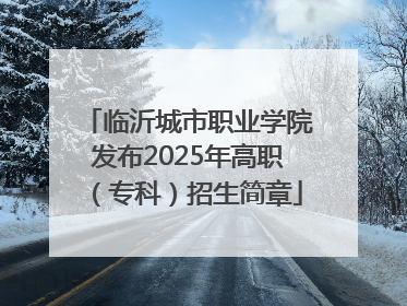临沂城市职业学院发布2025年高职（专科）招生简章