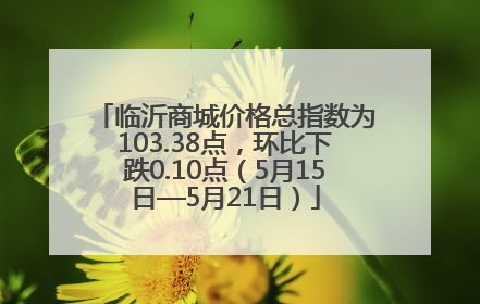 临沂商城价格总指数为103.38点，环比下跌0.10点（5月15日—5月21日）