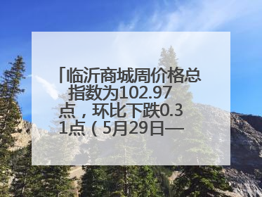 临沂商城周价格总指数为102.97点，环比下跌0.31点（5月29日—6月4日）