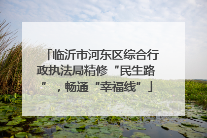 临沂市河东区综合行政执法局精修“民生路”，畅通“幸福线”