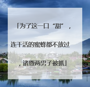 为了这一口“甜”，连干活的蜜蜂都不放过，诸暨两男子被抓