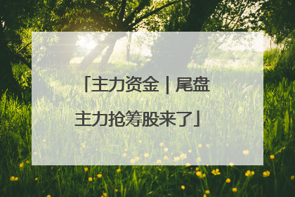 主力资金｜尾盘主力抢筹股来了