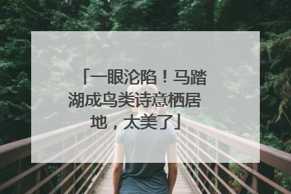 一眼沦陷！马踏湖成鸟类诗意栖居地，太美了