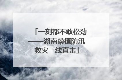 一刻都不敢松劲——湖南桑植防汛救灾一线直击