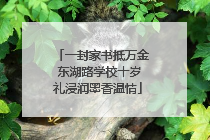 一封家书抵万金 东湖路学校十岁礼浸润墨香温情