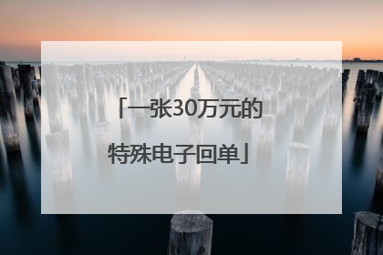 一张30万元的特殊电子回单