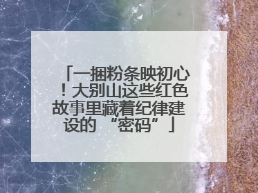 一捆粉条映初心！大别山这些红色故事里藏着纪律建设的 “密码”