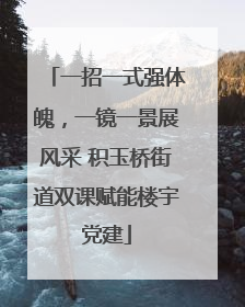一招一式强体魄，一镜一景展风采 积玉桥街道双课赋能楼宇党建
