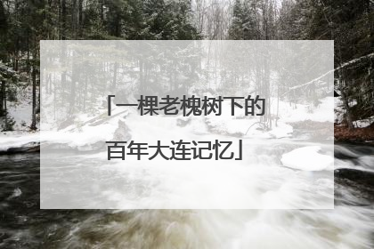 一棵老槐树下的百年大连记忆