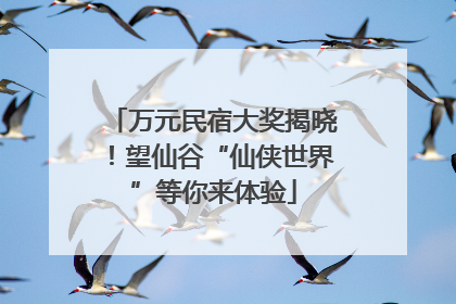 万元民宿大奖揭晓！望仙谷“仙侠世界”等你来体验