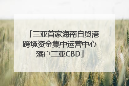 三亚首家海南自贸港跨境资金集中运营中心落户三亚CBD
