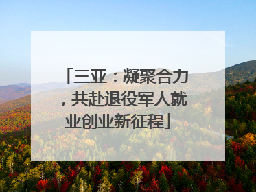 三亚：凝聚合力，共赴退役军人就业创业新征程