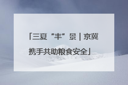 三夏“丰”景｜京冀携手共助粮食安全