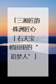 三湘匠韵·株洲匠心丨石天宝：稻田里的“追梦人”