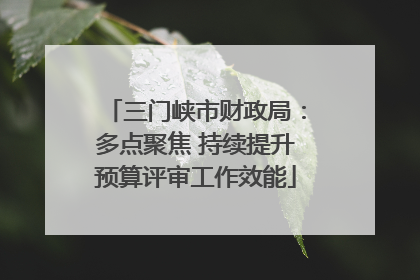 三门峡市财政局：多点聚焦 持续提升预算评审工作效能