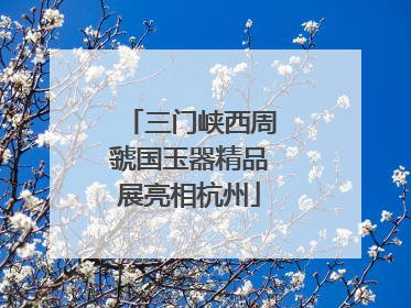 三门峡西周虢国玉器精品展亮相杭州
