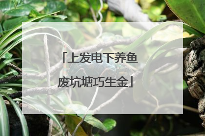上发电下养鱼 废坑塘巧生金