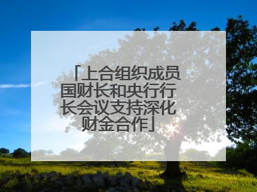 上合组织成员国财长和央行行长会议支持深化财金合作