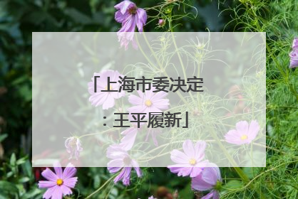 上海市委决定：王平履新