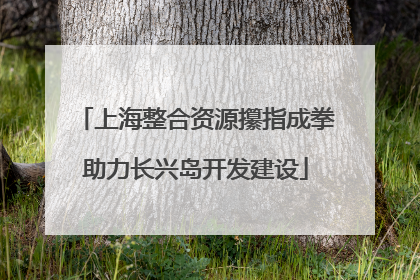上海整合资源攥指成拳助力长兴岛开发建设