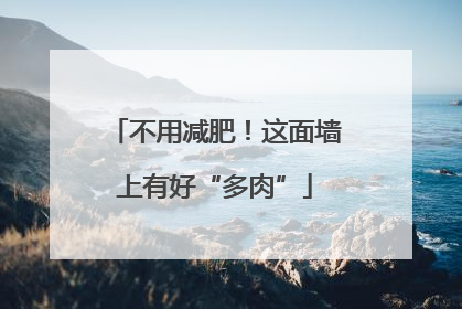 不用减肥！这面墙上有好“多肉”