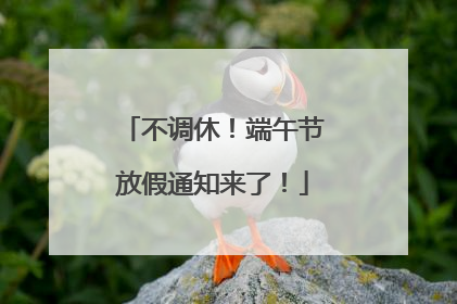 不调休！端午节放假通知来了！
