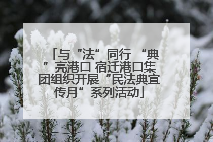 与“法”同行 “典”亮港口 宿迁港口集团组织开展“民法典宣传月”系列活动
