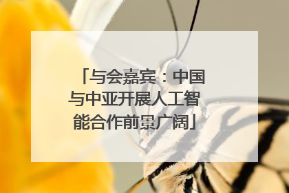 与会嘉宾：中国与中亚开展人工智能合作前景广阔