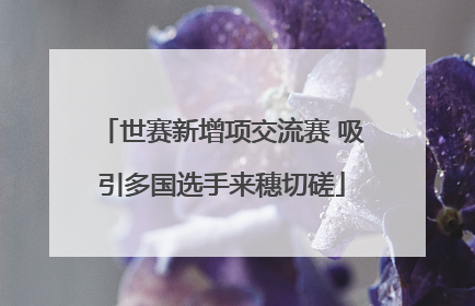 世赛新增项交流赛 吸引多国选手来穗切磋