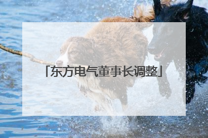 东方电气董事长调整