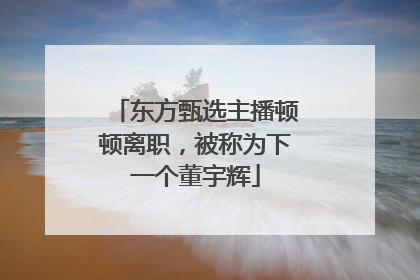 东方甄选主播顿顿离职，被称为下一个董宇辉