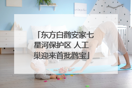 东方白鹳安家七星河保护区 人工巢迎来首批鹳宝