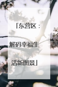东营区：解码幸福生活新图景