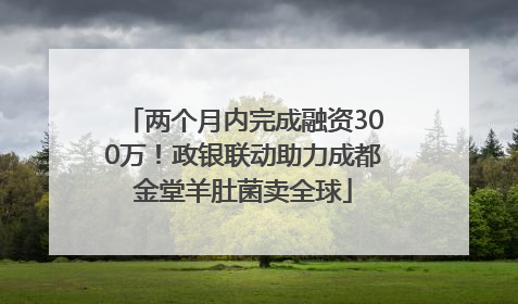 两个月内完成融资300万！政银联动助力成都金堂羊肚菌卖全球