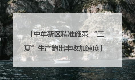 中牟新区精准施策 “三夏”生产跑出丰收加速度