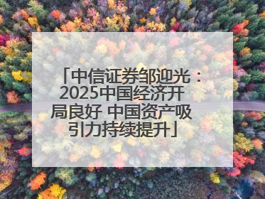 中信证券邹迎光：2025中国经济开局良好 中国资产吸引力持续提升