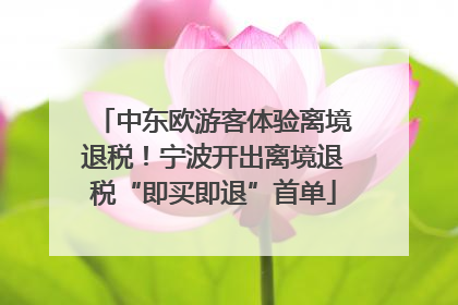 中东欧游客体验离境退税！宁波开出离境退税“即买即退”首单