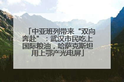 中亚班列带来“双向奔赴”：武汉市民吃上国际粮油，哈萨克斯坦用上鄂产光电屏