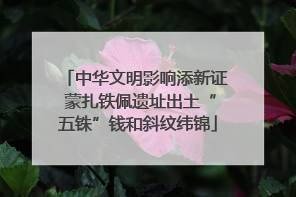 中华文明影响添新证 蒙扎铁佩遗址出土“五铢”钱和斜纹纬锦