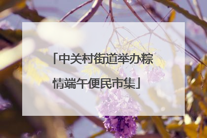 中关村街道举办粽情端午便民市集