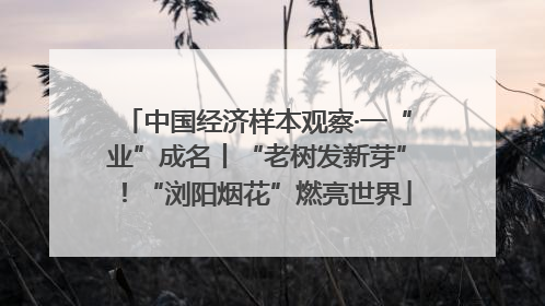 中国经济样本观察·一“业”成名丨“老树发新芽”！“浏阳烟花”燃亮世界