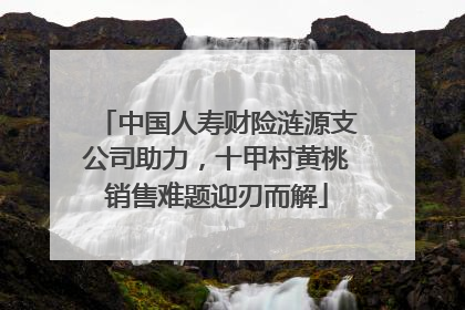 中国人寿财险涟源支公司助力，十甲村黄桃销售难题迎刃而解