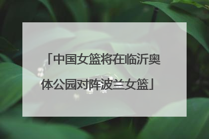 中国女篮将在临沂奥体公园对阵波兰女篮