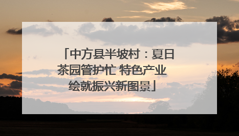 中方县半坡村：夏日茶园管护忙 特色产业绘就振兴新图景