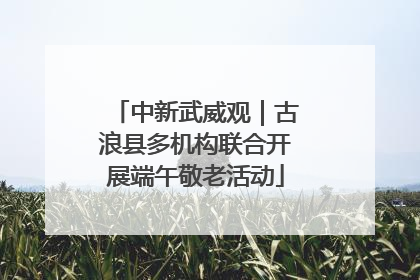 中新武威观｜古浪县多机构联合开展端午敬老活动
