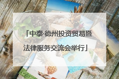 中泰·德州投资贸易暨法律服务交流会举行