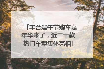 丰台端午节购车嘉年华来了，近二十款热门车型集体亮相