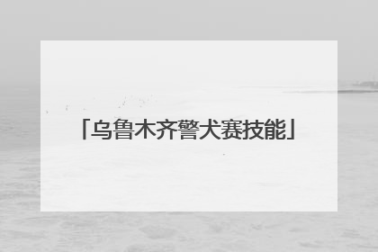 乌鲁木齐警犬赛技能